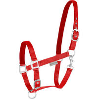 Produktbild von Waldhausen Perlonhalfter Satin für Warmblut in Grau und Rot