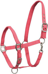 Waldhausen Perlonhalfter Satin Hibiskus für Vollblut – Bild 1 von 1