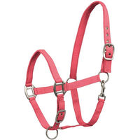 Produktbild von Waldhausen Perlonhalfter Satin Hibiskus für Vollblut