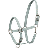 Produktbild von Waldhausen Perlonhalfter Xwb Satin Silberblau