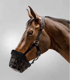 Waldhausen Pferde-Maske Comfort Schwarz mit Fleece für Warmblut – Bild 1 von 2