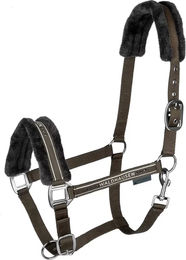 Waldhausen Pferdehalfter Elegant mit Plüsch in Grünbraun für Pony – Bild 1 von 8