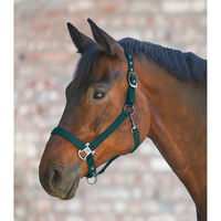 Produktbild von Waldhausen Pferdehalfter Gloomy aus Nylon in Grün für Warmblut