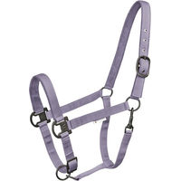 Produktbild von Waldhausen Pferdehalfter Gloomy Lavendel aus Nylon