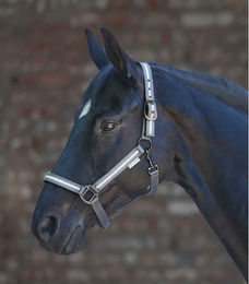 Waldhausen Pferdehalfter Reflex Stripe aus Nylon für Ponys in Grau – Bild 1 von 4