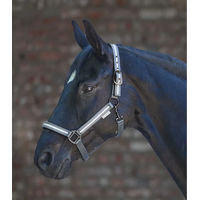 Produktbild von Waldhausen Pferdehalfter Reflex Stripe aus Nylon für Ponys in Grau