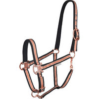 Produktbild von Waldhausen Pferdehalfter Shine Leder Schwarz Gold Warmblut