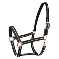 Produktbild von Waldhausen Pony Halfter aus Nylon in Rosé und Schwarz