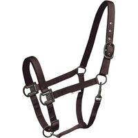 Produktbild von Waldhausen Pony Halfter Gloomy Kastanienbraun aus Nylon