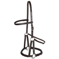 Produktbild von Waldhausen Pony Trensenzaum Lindel Braun aus Leder gebisslos