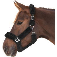 Produktbild von Waldhausen Ponyhalfter Cozy in Beige mit Fell
