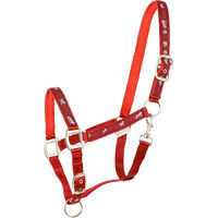 Produktbild von Waldhausen Ponyhalfter mit Pferde-Motiven aus Nylon in Rot