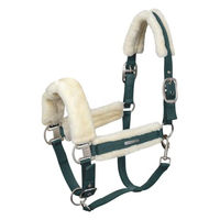 Produktbild von Waldhausen Ponyhalfter Soft in Grün aus Polyester