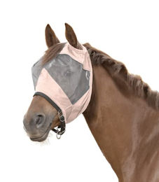Waldhausen Premium Fliegenmaske für Kaltblut Pferde Rosa – Bild 1 von 2