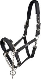 Waldhausen Pro Safety Halfter für Vollblut in Schwarz aus Leder – Bild 1 von 4