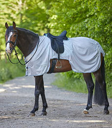 Produktbild von Waldhausen Protect Fliegen-Ausreitdecke Silbergrau 115 cm - 1 Stk.
