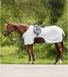 Waldhausen Protect Fliegenausreitdecke für Pferde Silbergrau 165 cm – Bild 1 von 3