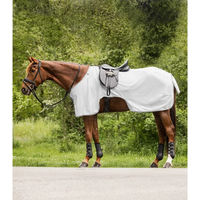 Produktbild von Waldhausen Protect Fliegenausreitdecke für Pferde Silbergrau 165 cm