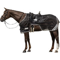 Produktbild von Waldhausen Reflex Ausreitdecke für Pferde aus Polyester in Schwarz/Silbergrau 125 cm - 125 cm