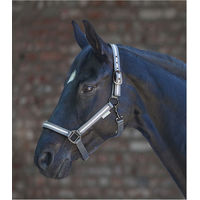 Produktbild von Waldhausen Reflex Halfter Stripe für Vollblut in Grau