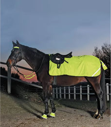 Waldhausen Reflex Nierendecke aus Fleece für Ponys in Gelb oder Grün – Bild 1 von 5