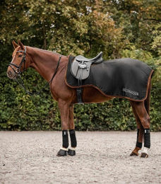Waldhausen Regen-Ausreitdecke Perth Schwarz für Warmblut – Bild 1 von 1