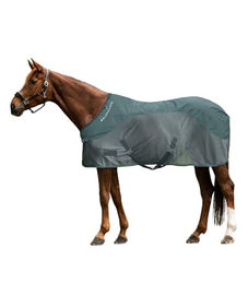 Waldhausen Regen-Fliegendecke Comfort für Pferde aus Polyester in Grün 165 cm – Bild 1 von 5