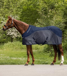 Waldhausen Regen-Fliegendecke Comfort für Pferde Blau 165 cm - 165 cm – Bild 1 von 6