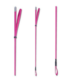 Produktbild von Waldhausen Reitgerte in Pink und Rosa