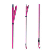 Produktbild von Waldhausen Reitgerte in Rosa