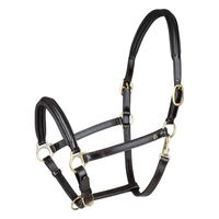 Produktbild von Waldhausen S-Line Classy Lederhalfter für Pferde