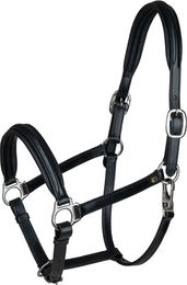 Waldhausen S-Line Classy Lederhalfter für Vollblut in Schwarz – Bild 1 von 3