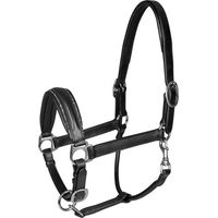 Produktbild von Waldhausen S-Line Lederhalfter für Pferde in Schwarz mit Silber
