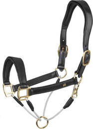 Waldhausen S-Line Royal Lederhalfter für Pferde in Schwarz mit Gold – Bild 1 von 5