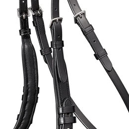 Waldhausen S-Line Sensation Trensenzaum aus Leder mit Strass für Warmblut Pferde in Schwarz – Bild 1 von 5