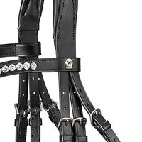 Produktbild von Waldhausen S-Line Trensenzaum Classy für Warmblut in Schwarz mit Edelstahl