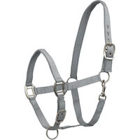 Produktbild von Waldhausen Satin Halfter aus Nylon in Grau für Warmblut