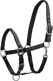 Waldhausen Satin Halfter für Pferde in Schwarz für Vollblut – Bild 1 von 3