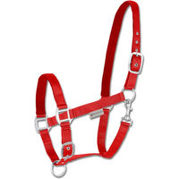 Produktbild von Waldhausen Satin Halfter für Ponys in Rot