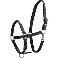 Produktbild von Waldhausen Satin Halfter für Shetty in Schwarz