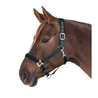 Produktbild von Waldhausen Satin-Perlonhalfter für Ponys in Grün