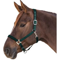 Produktbild von Waldhausen Satinhalfter aus Nylon in Grün für Warmblut