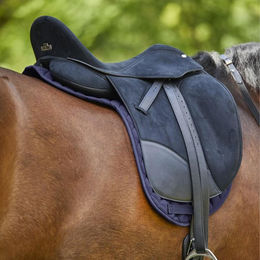 Waldhausen Satteldecke Star Dressurpad für Pferde Schwarz aus Polyester – Bild 1 von 3