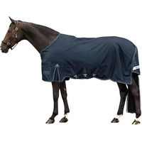 Produktbild von Waldhausen Scandic Outdoor-Pferdedecke aus Polyester in Blau 140 cm