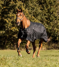 Waldhausen Scandic Outdoordecke für Pferde Schwarz 155 cm – Bild 1 von 6