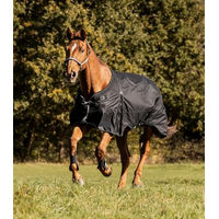 Produktbild von Waldhausen Scandic Outdoordecke für Pferde Schwarz 165 cm