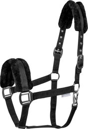 Produktbild von Waldhausen Shetty Halfter aus Baumwolle Schwarz