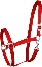 Waldhausen Shetty Halfter aus Nylon mit Schiebeschnalle Rot – Bild 1 von 5