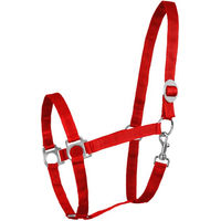 Produktbild von Waldhausen Shetty Halfter aus Nylon mit Schiebeschnalle Rot