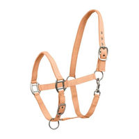 Produktbild von Waldhausen Shetty Perlonhalfter Satin in Pfirsich